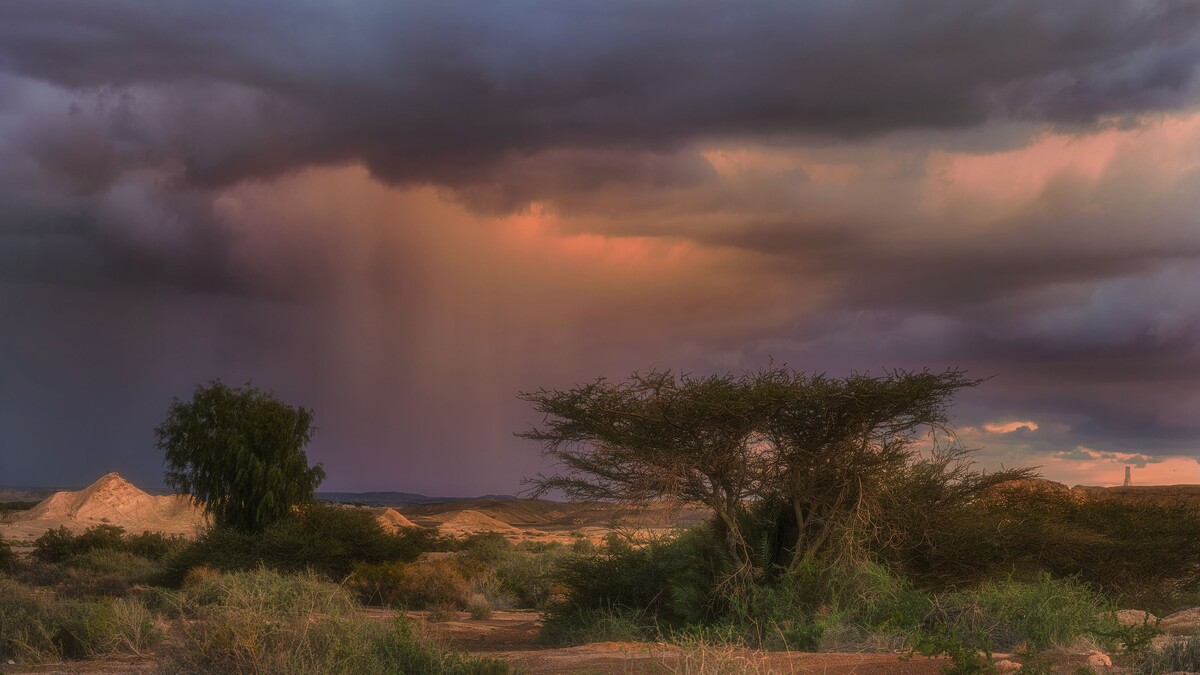 Почему зависимость нельзя контролировать, а можно только искоренить                                          /Дождь на закате, Евгений Шварцман/