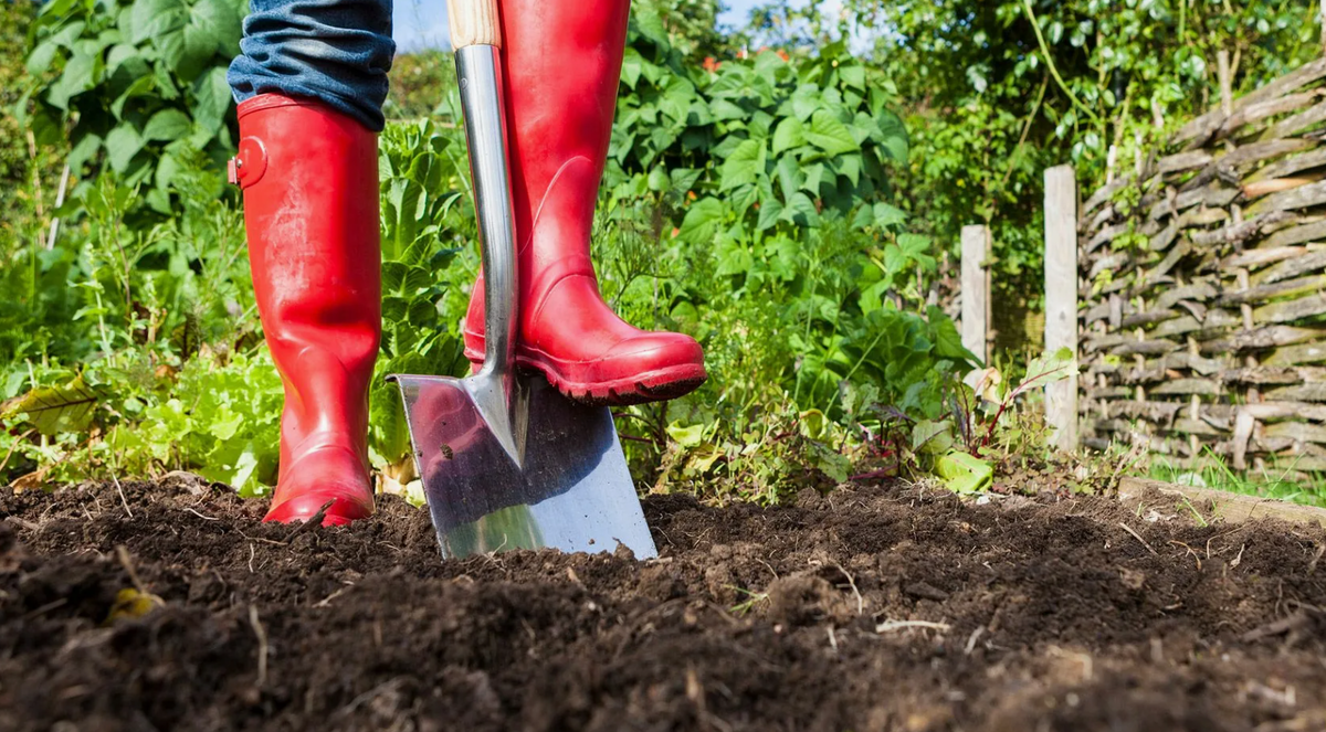 перекопка земли