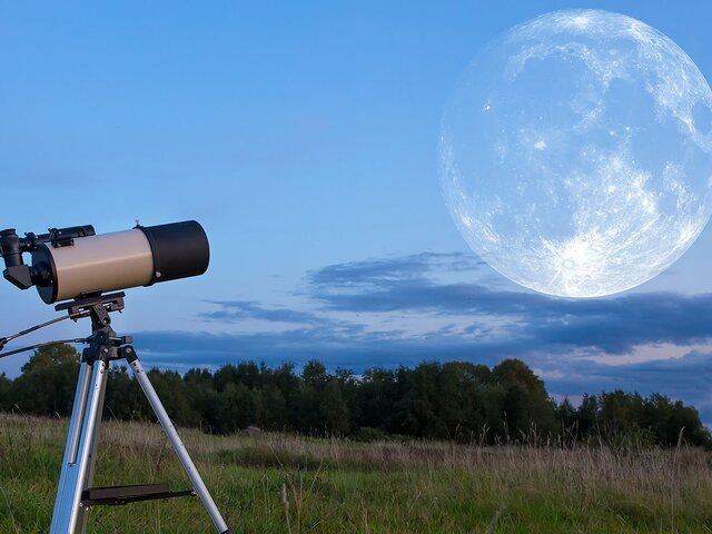    Фото: 123RF/serrgey75