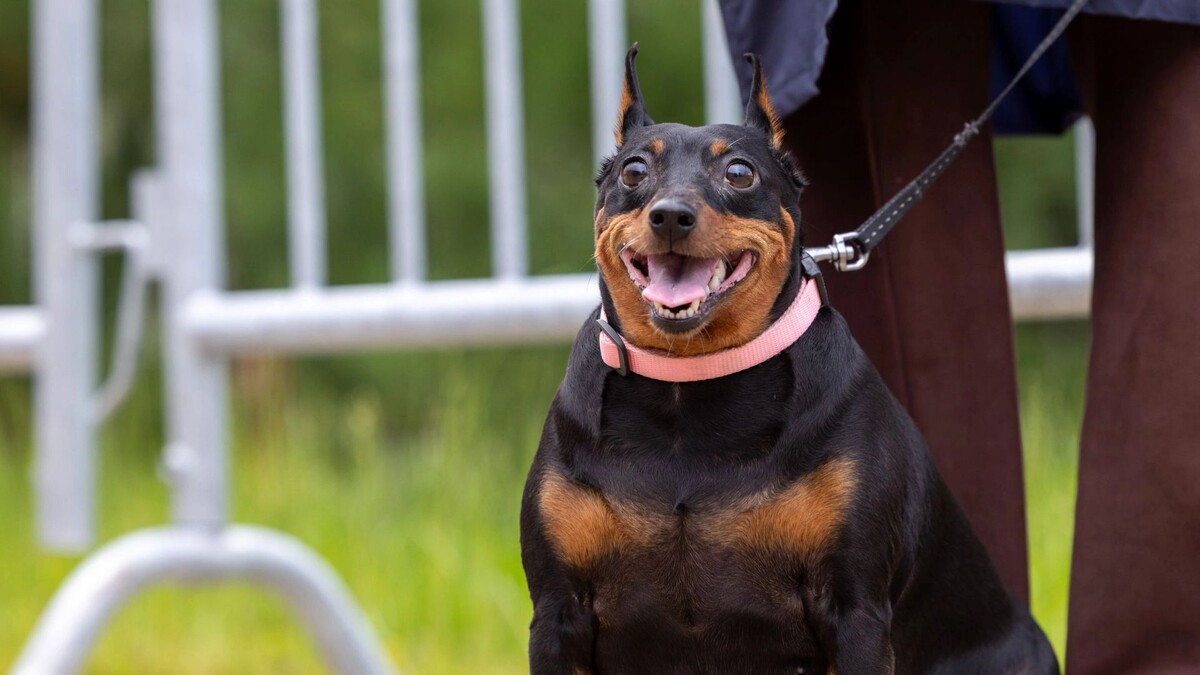    Фото: Федор Воронов/«Ямал-Медиа»