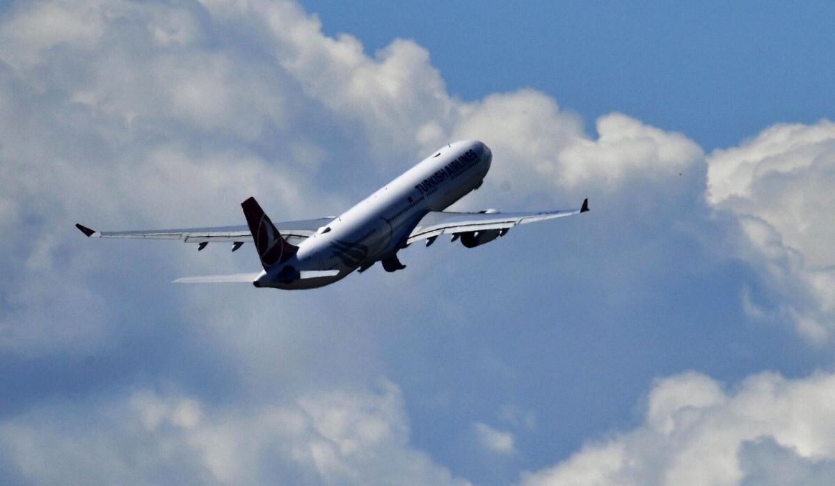     Cамолет Airbus A330. Источник: © РИА Новости Автор фото: Максим Блинов