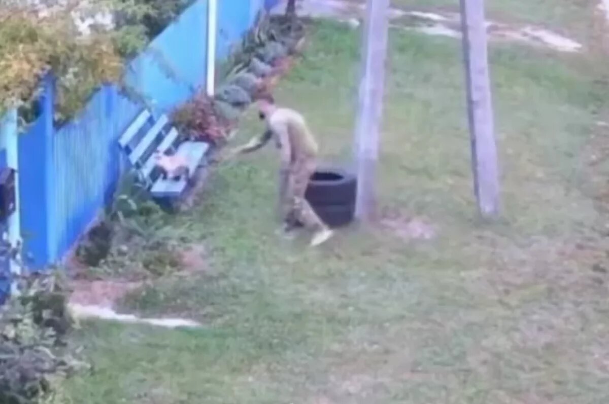    В Киевской области военкомы «мобилизовали» кота