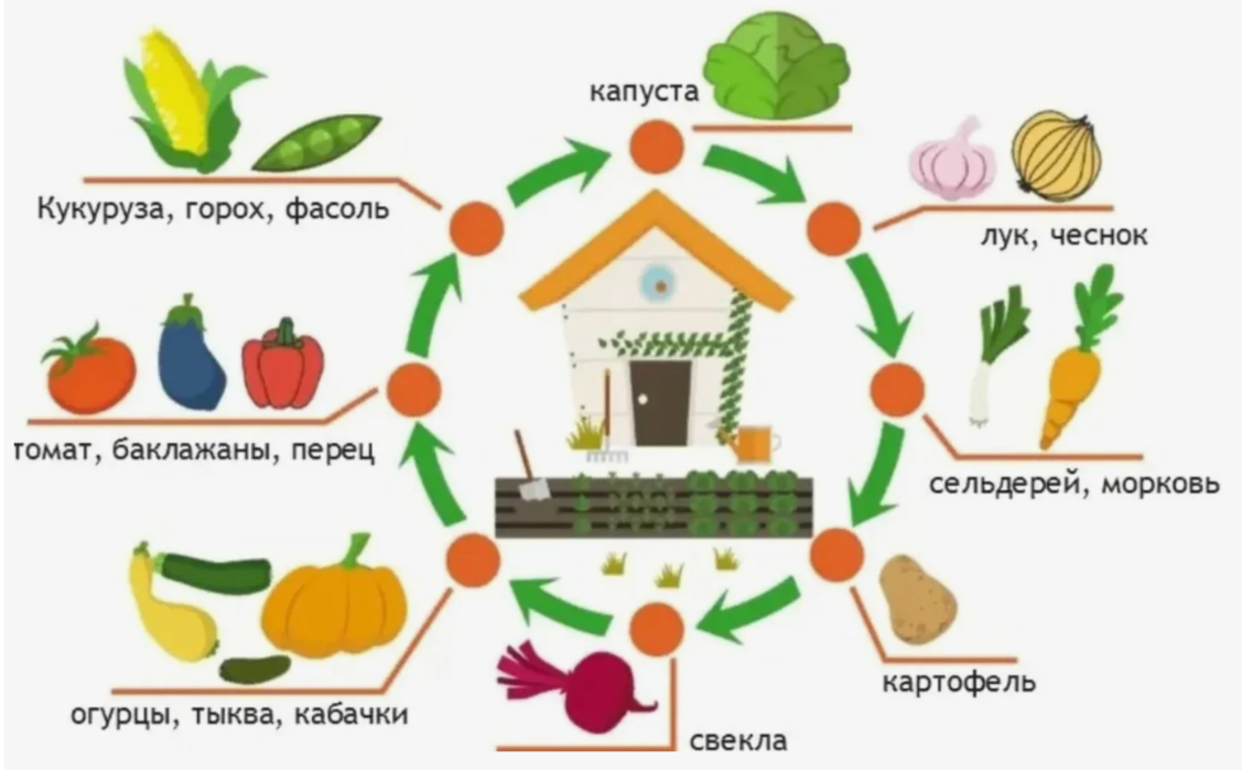 схема севооборота