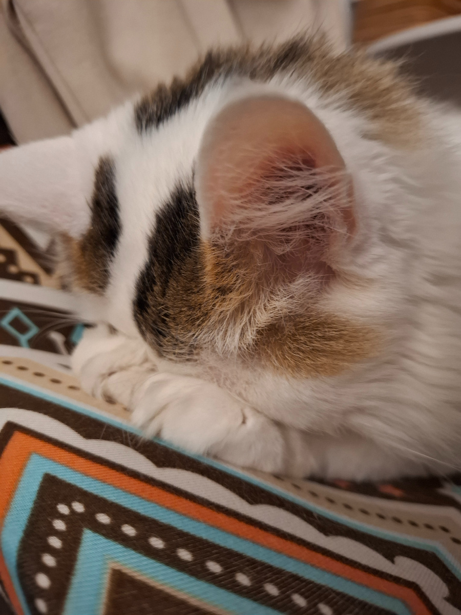 Чисто я в последние дни 🤪