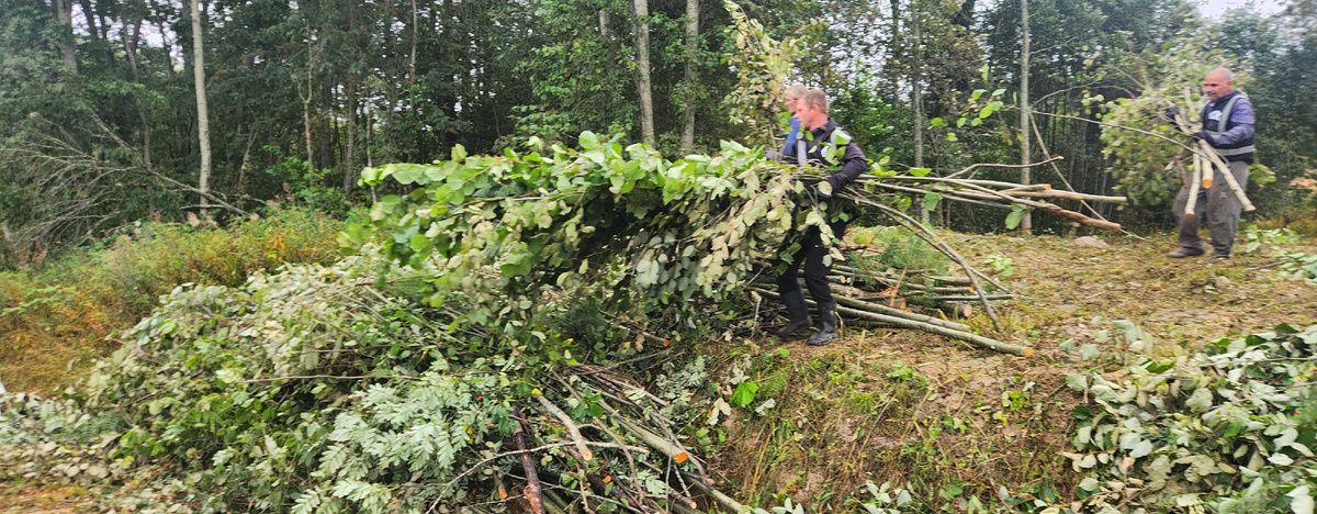 Расичстка участка