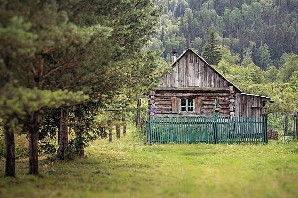 Фото из Яндекса