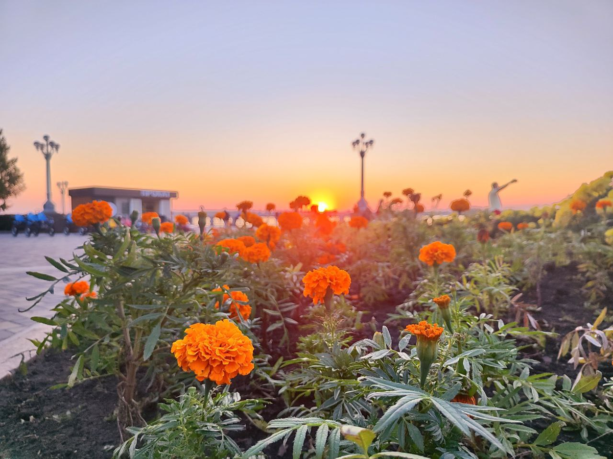 Фото автора.