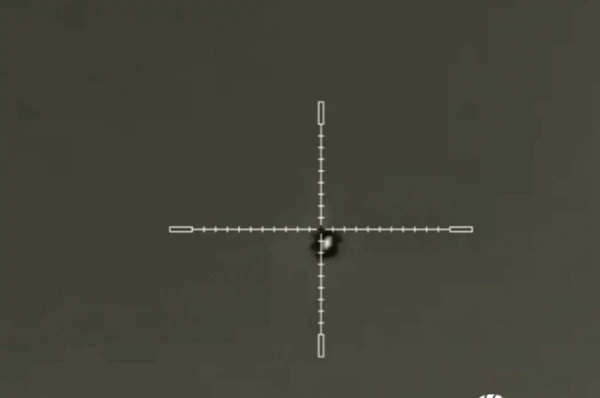    Роту ударных БПЛА госпогранслужбы Украины расформировали в пехоту