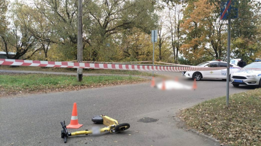    Фото: Telegram/Новостная лента сайта ГУ МВД России по Московской области/gumvd50; 5-tv.ru