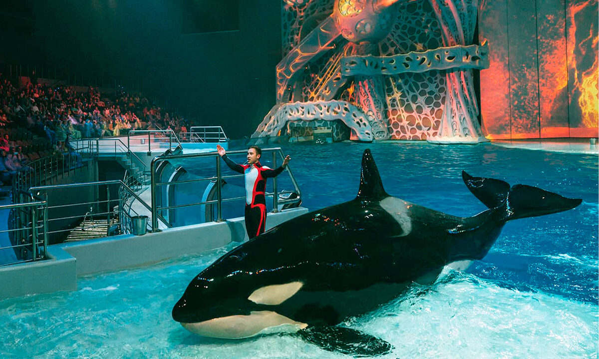 Один из крупнейших океанариумов Европы, на экспозиции которого представлены более 12 тысяч водных обитателей.