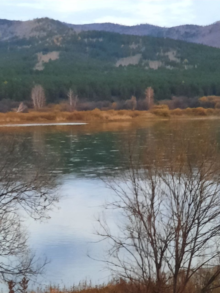 Фото автора. Вот такая у нас сейчас мрачная красота.