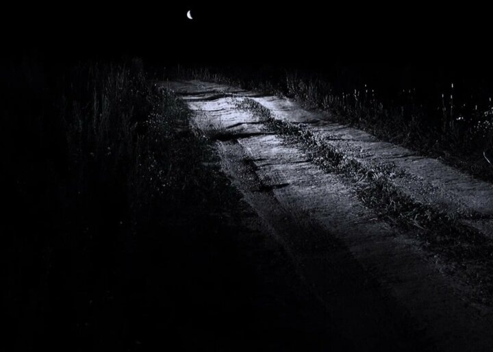 Из свободного доступа