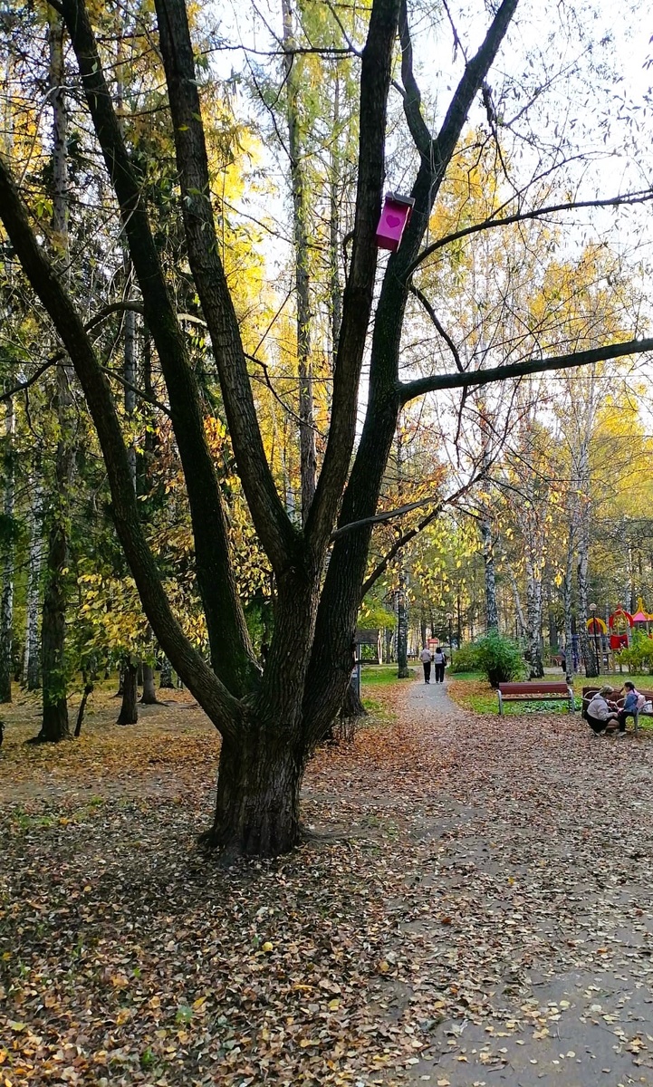 фото автора. недельной давности, пока снег лежит. потихоньку тает 