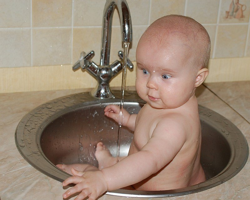 Фото из интернета. Вовочка.