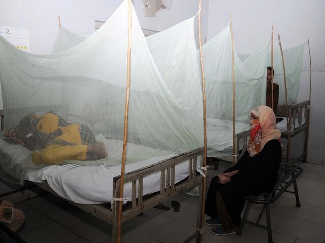    Фото: ТАСС/EPA/NADEEM KHAWER