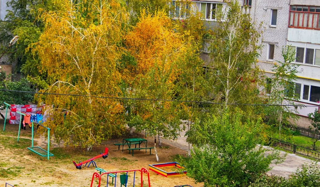 фото из открытых источников