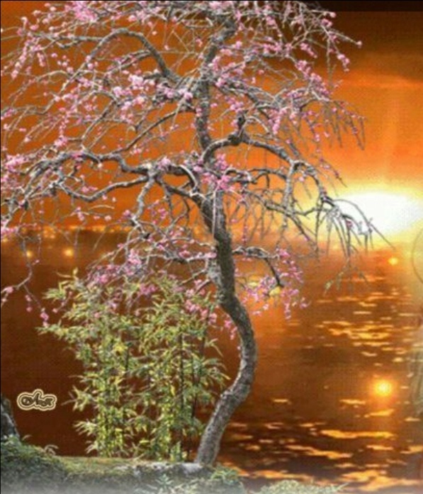 Хочешь рассмешить Бога  - расскажи Ему о своих планах... 