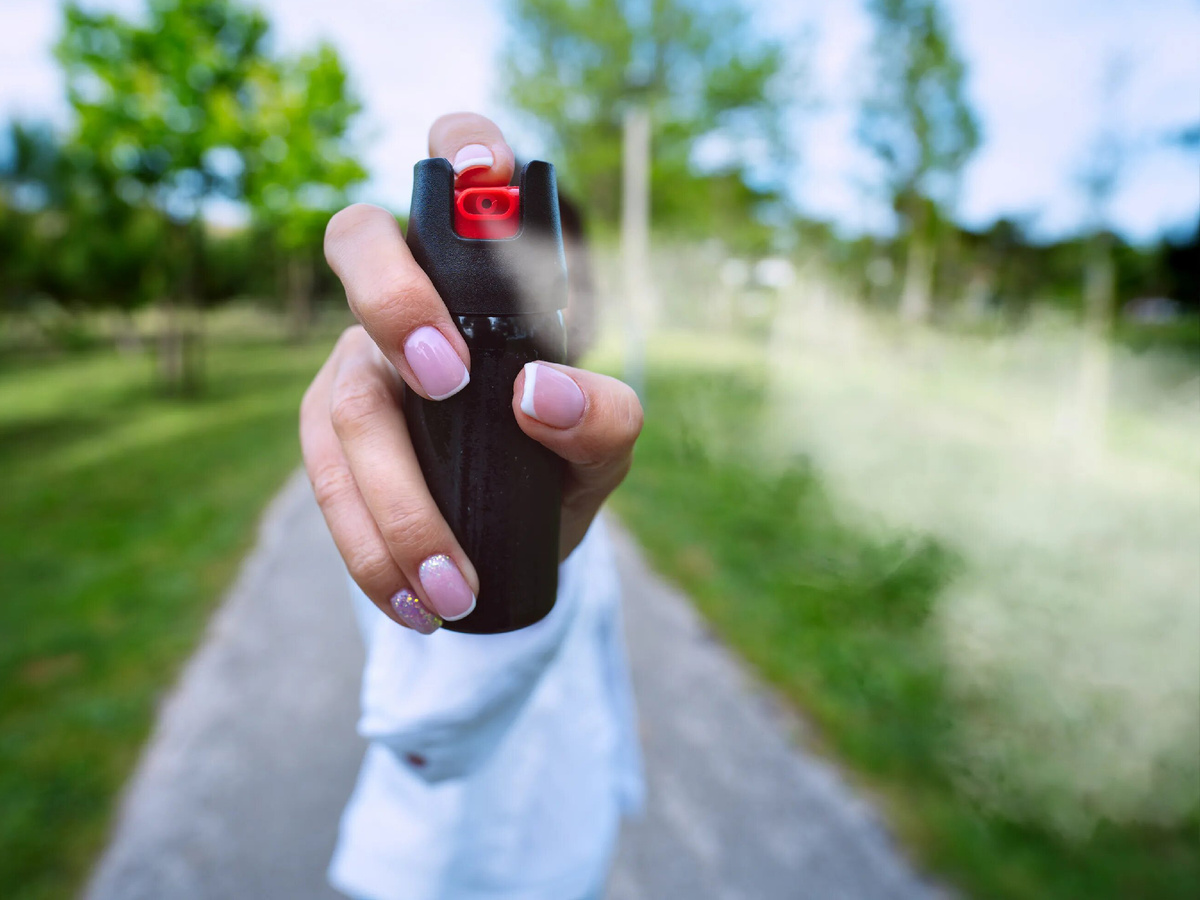 Изображение взято из отрытых источников