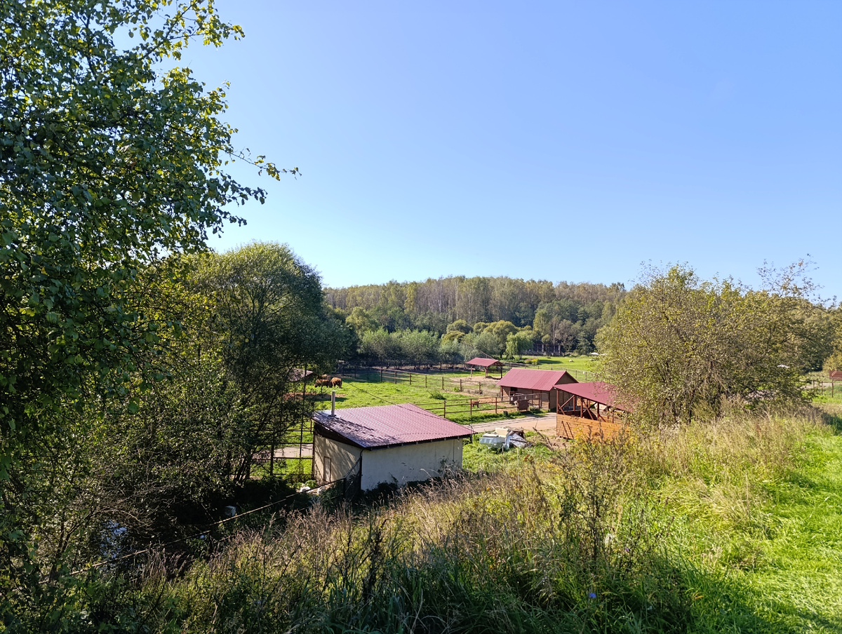 Выход в парк - вид сверху