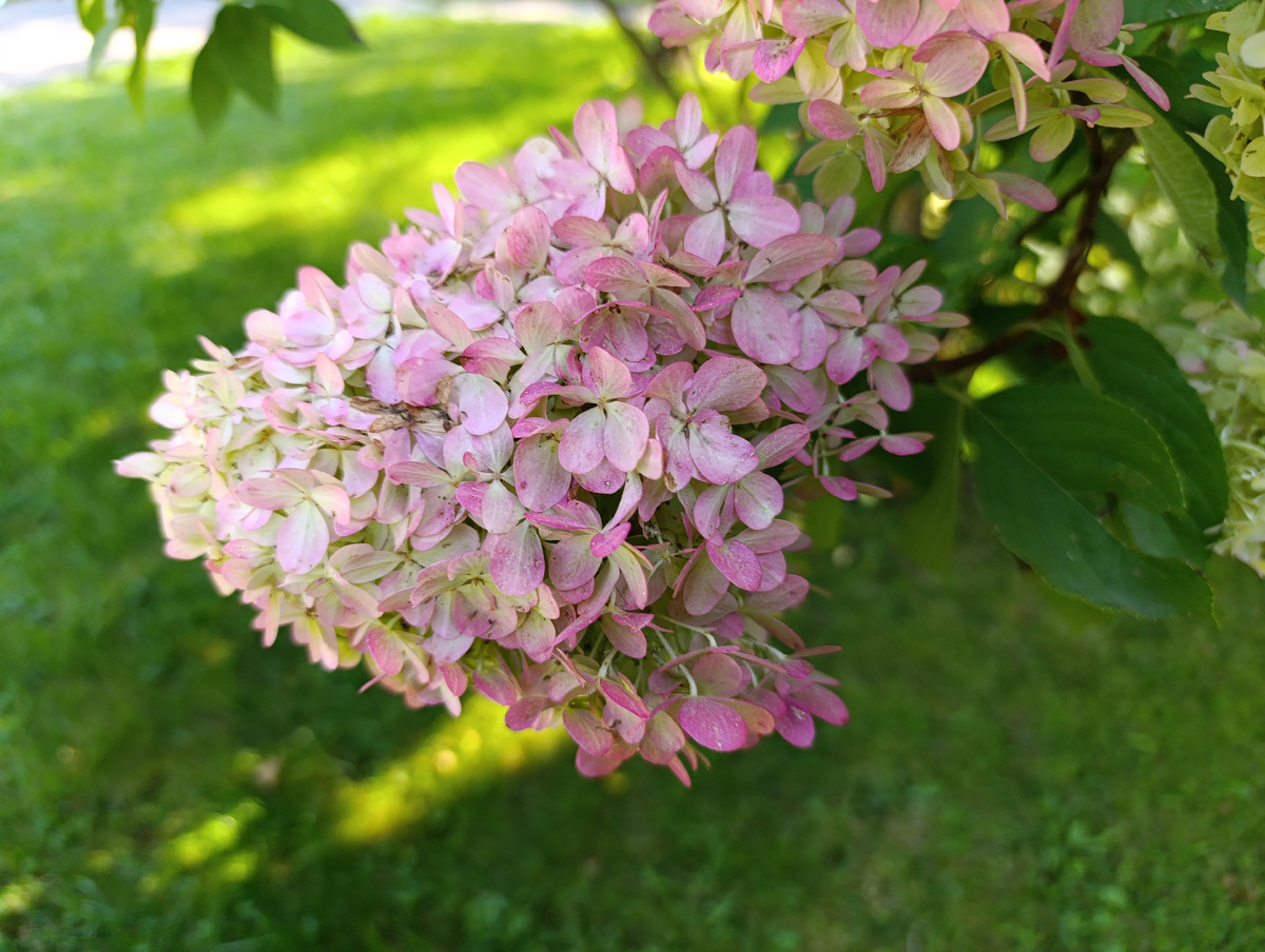 Территория гостиницы