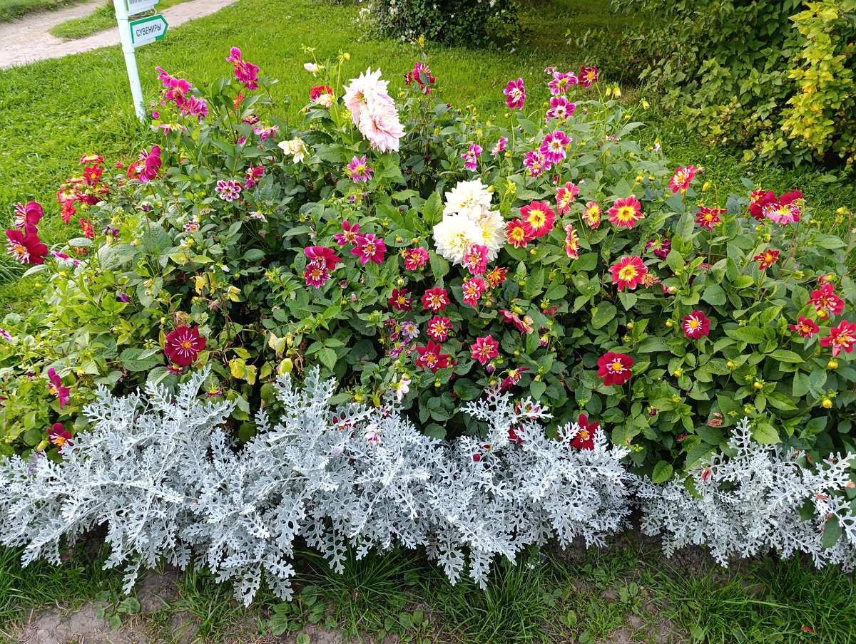 Здесь и дальше - шикарные клумбы парка