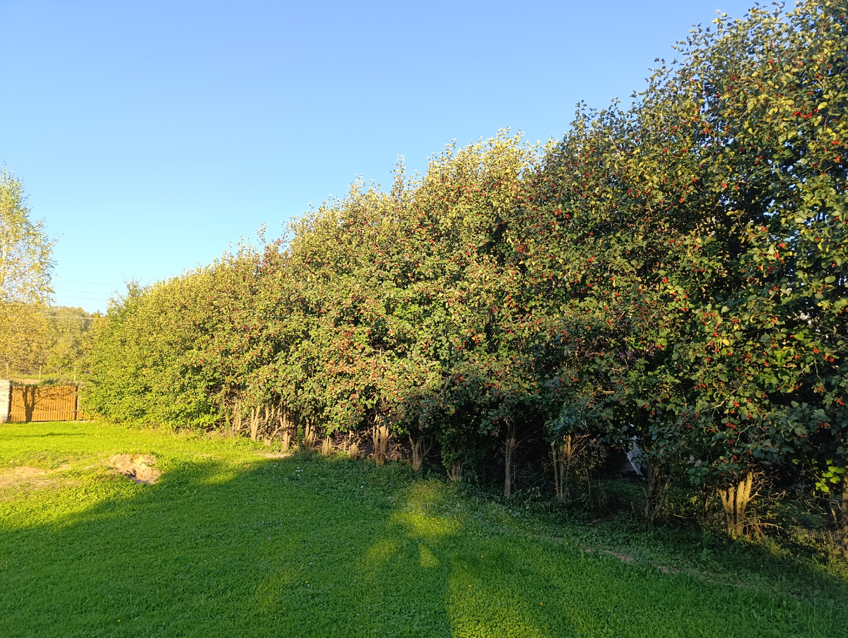 Территория гостиницы