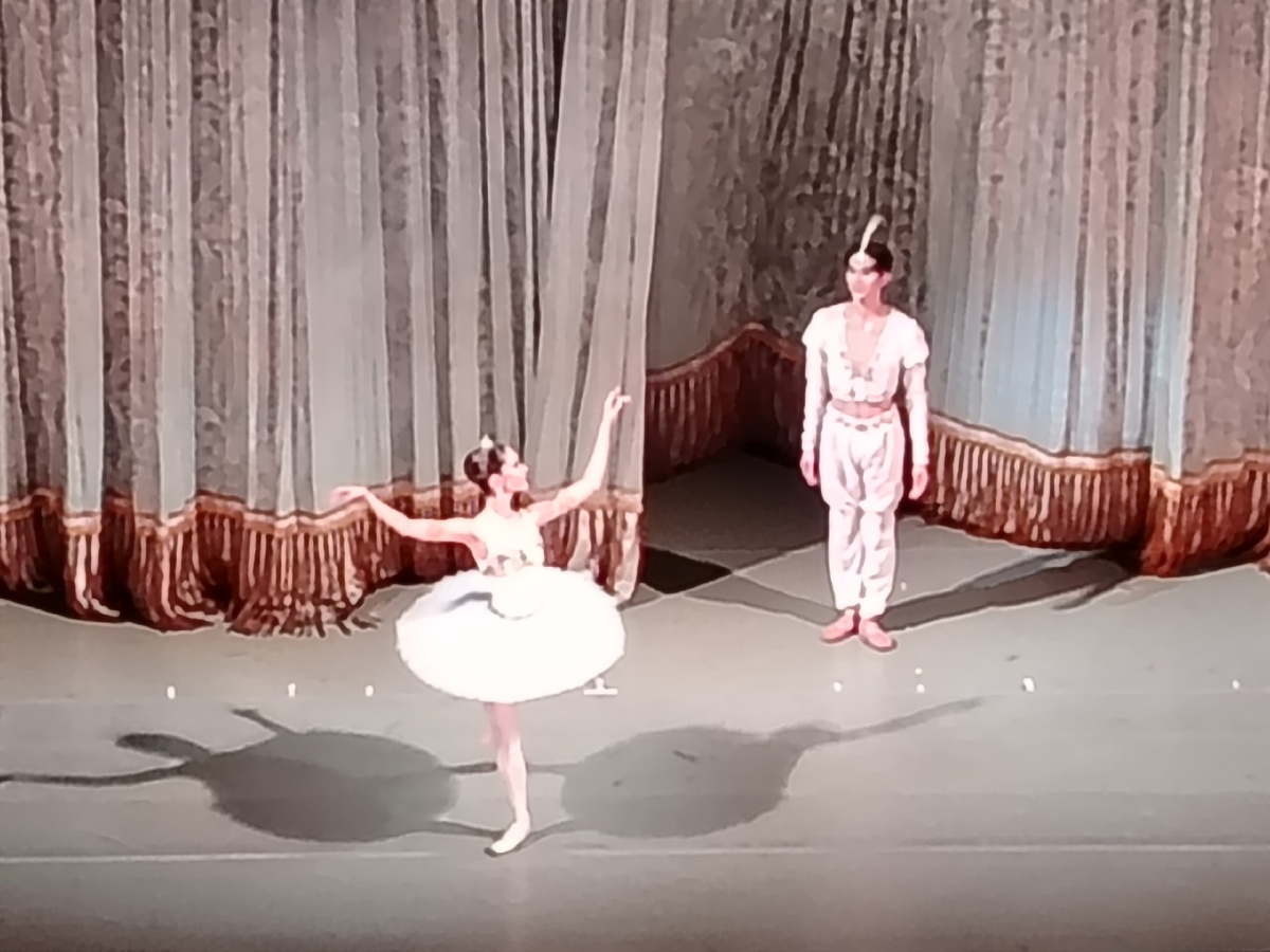 Д.Куликова и М.Чон