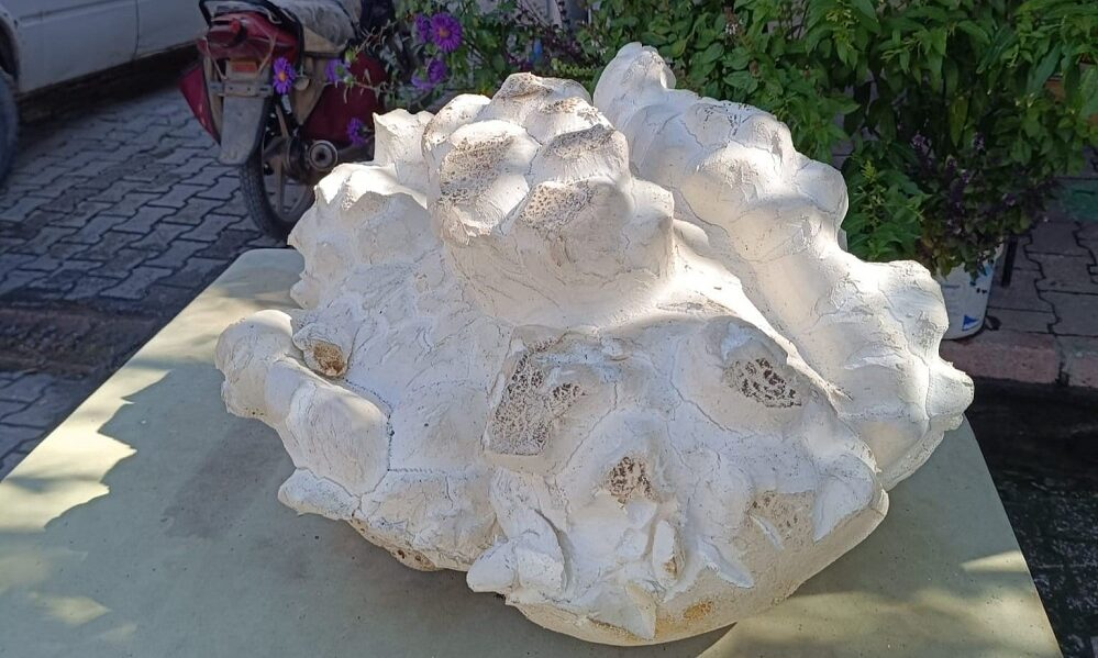 Фото: Daily Sabah