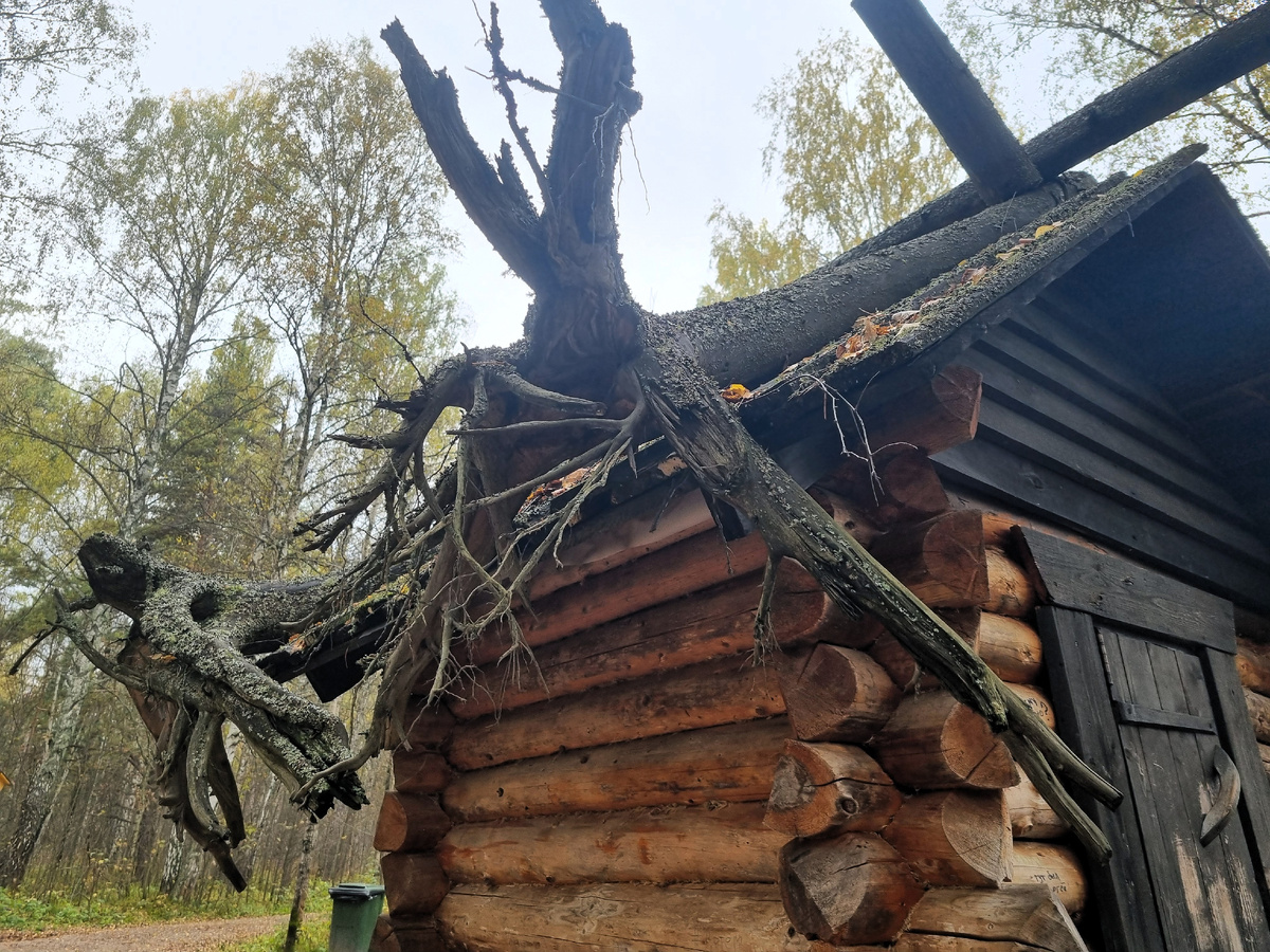 Избушка на курьих ножках в природном парке "Оленьи ручьи". Фото автора