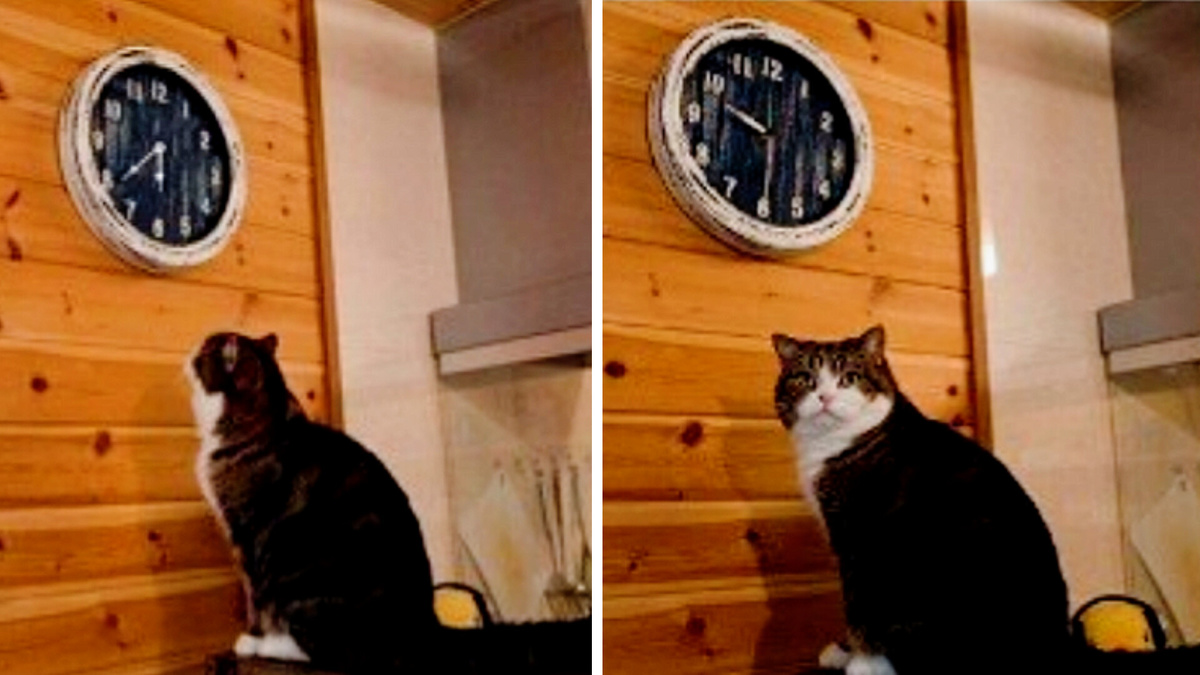 Ну и где он?! 