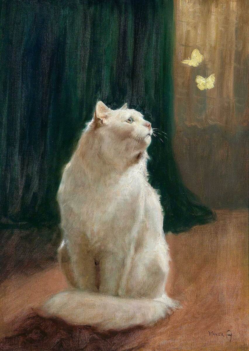 «Белый кот и две бабочки-лимонницы» — картина Артура Хейера (1872–1931), выполнена маслом на холсте, размеры — 70×50 см.