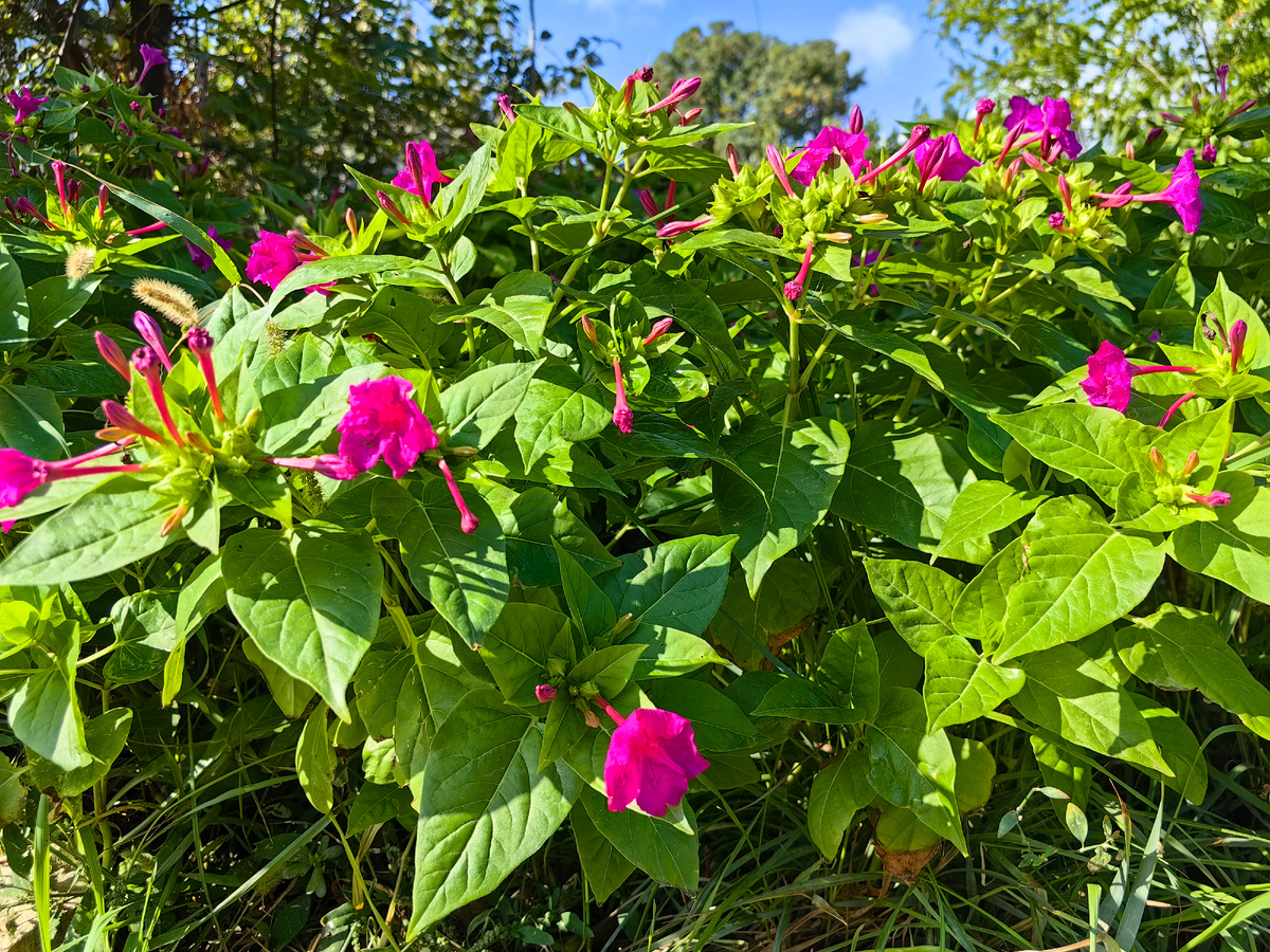 Сегодня. Фото автора канала