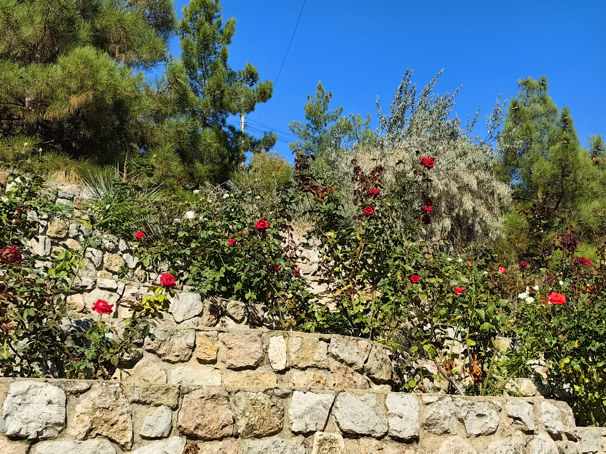 Сегодня. Фото автора канала