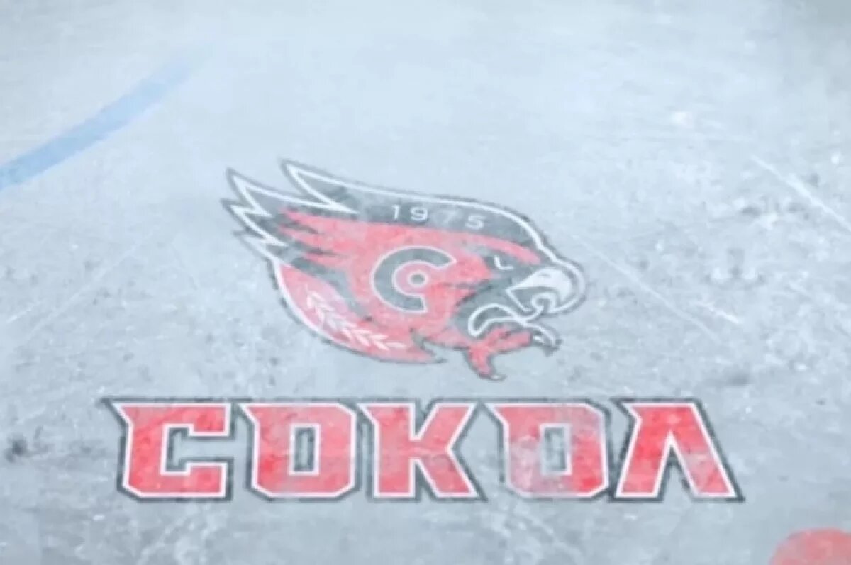    Новочебоксарский ХК «Сокол» входит в свой 50-й сезон с новым логотипом