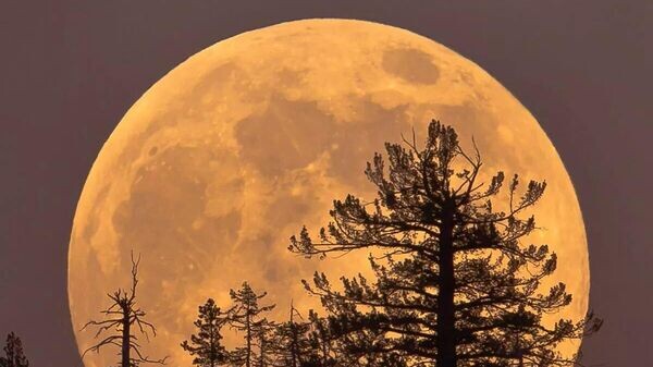    © Лаборатория солнечной астрономии ИКИ РАН