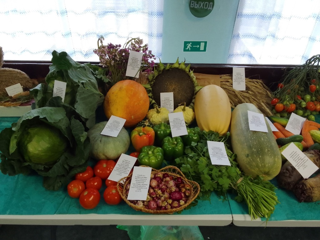 Названы имена самых талантливых юных аграриев Тверской области