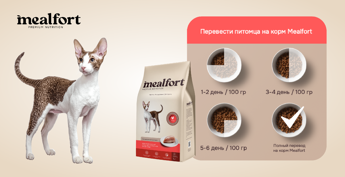 полнорационные сухие корма для кошек и собак / фото mealfort