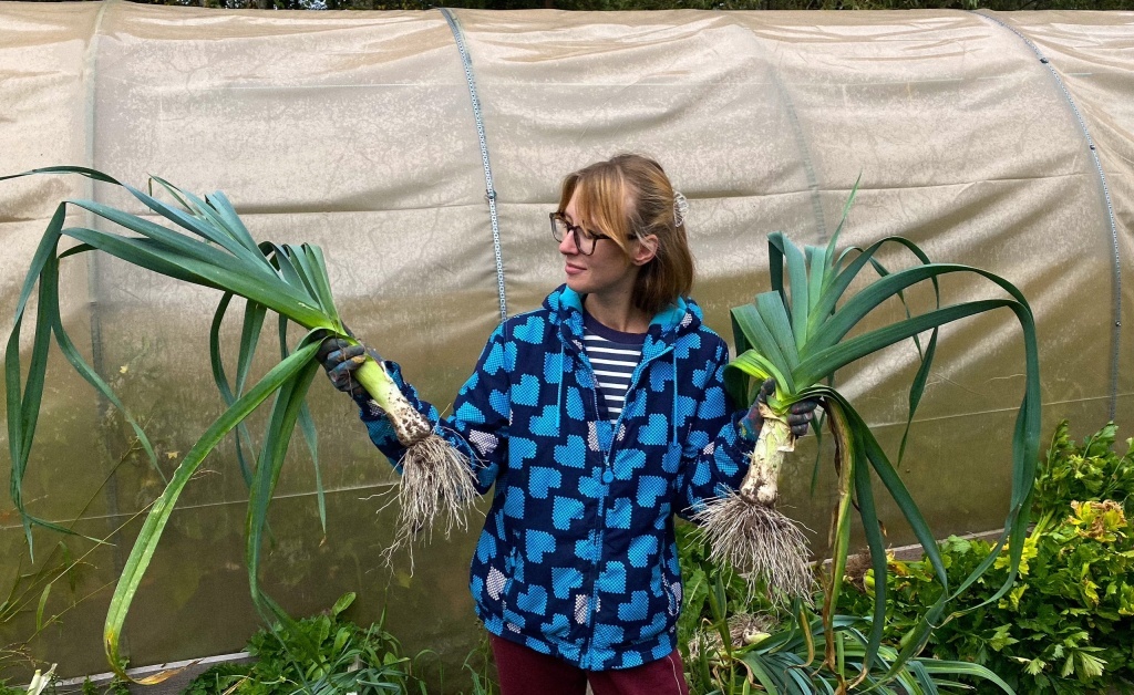 Хроники фазенды: сентябрь