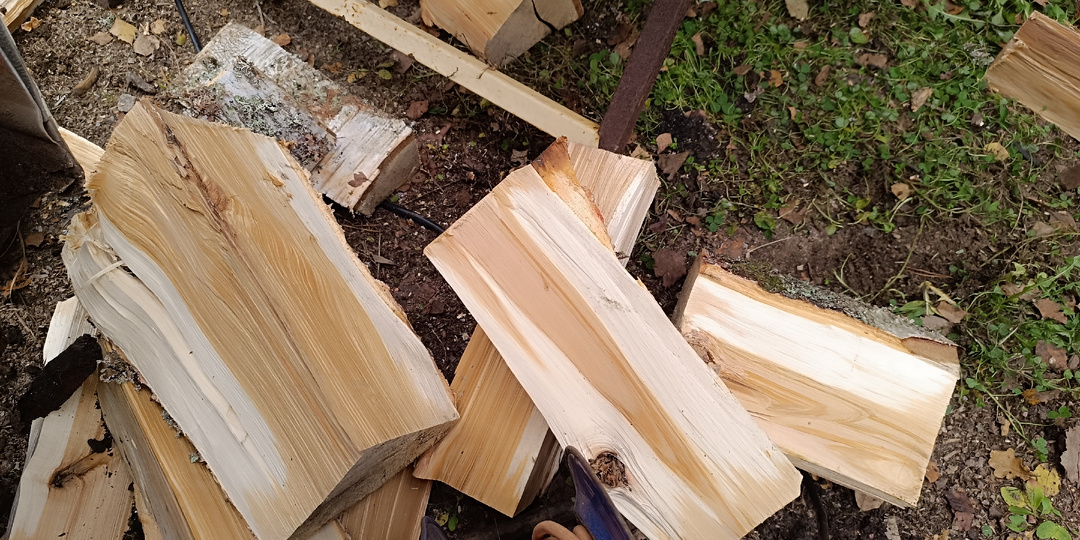 Заготовка дров на зиму в Ленинградской области — почему берёза за 9000 рублей лучше бесплатного горбыля с пилорамы