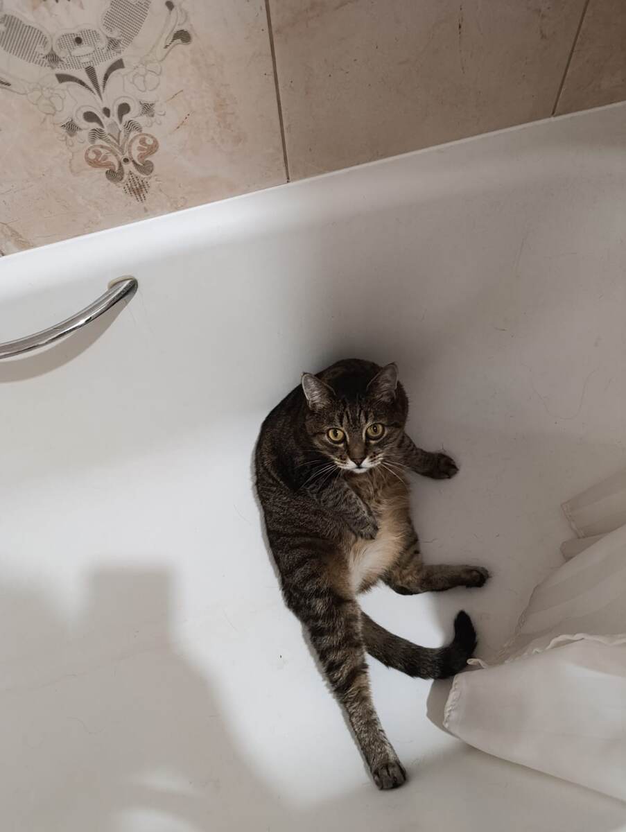 Про меня рассказываешь?