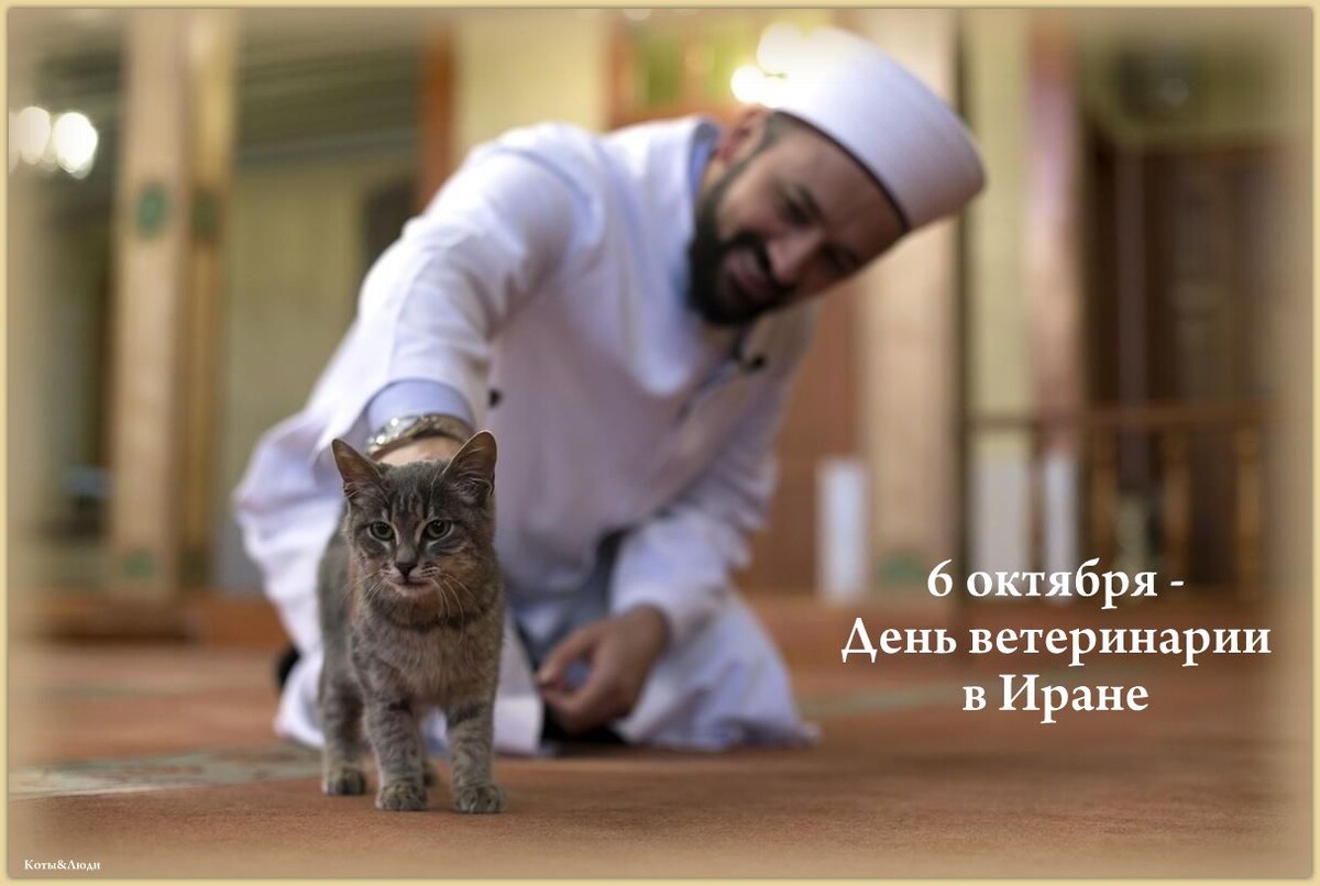 Коллаж автора. Источник фото: culture.ru