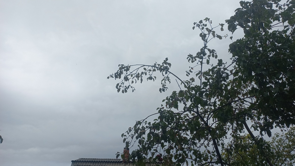 На часах 13:00, а на улице словно вечер. Фото автора