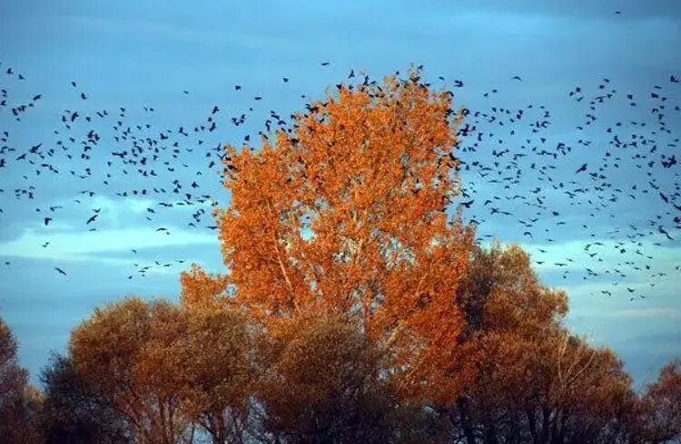 Фото posta.com.tr