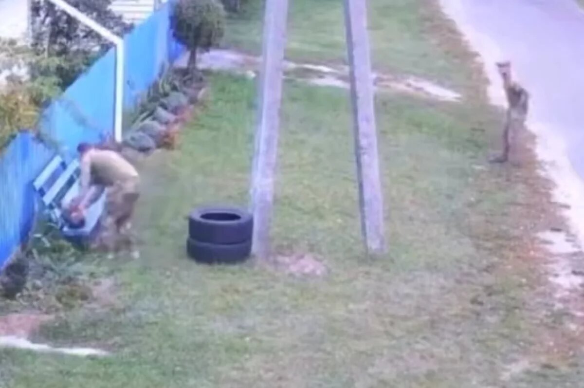    На Украине разгорелся скандал из-за «мобилизации» кота сотрудниками ТЦК