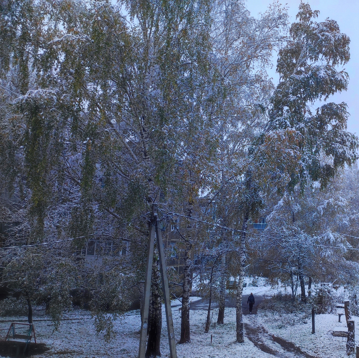 Фото автора 