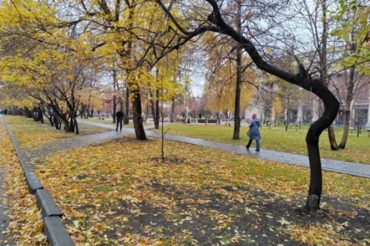    В Новосибирске в середине октября обещают потепление до +13 градусов
