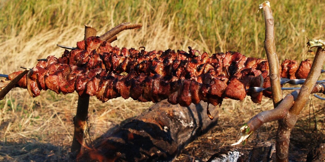 Шашлык из лосятины: Трофейный рецепт, который покорит даже скептиков. Как не испортить дичь?
