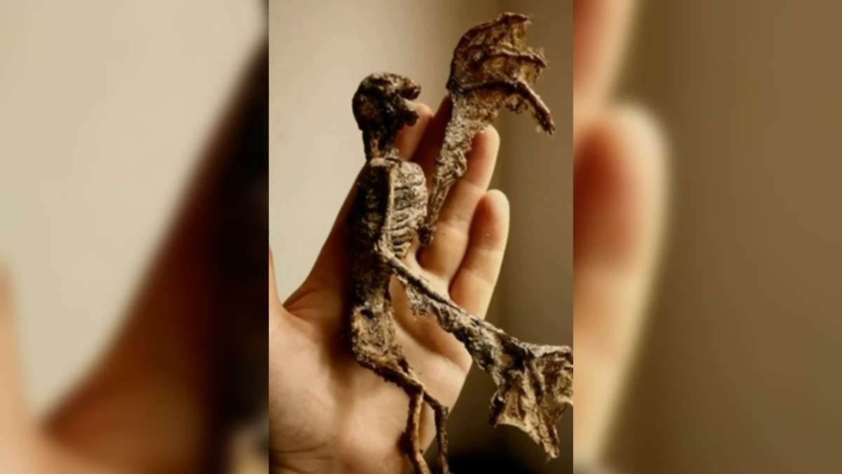 Автор: В. Панченко