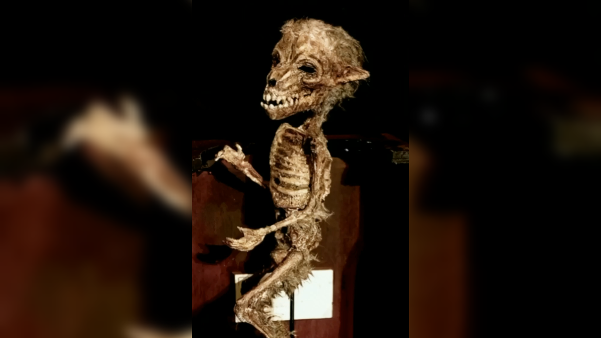 Автор: В. ПАнченко