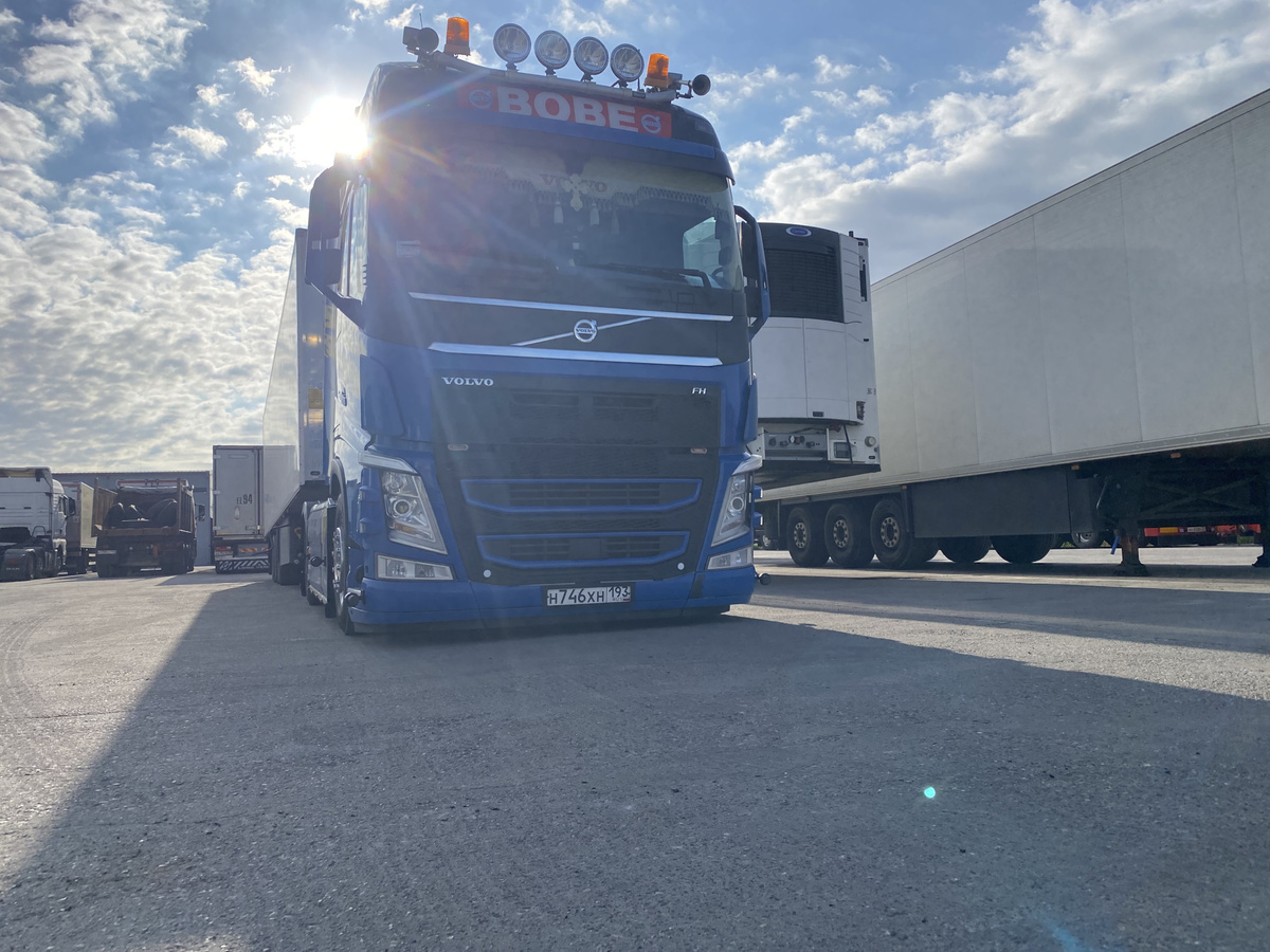 Не плохая вольва — сосед по базе (бывшей базе)